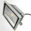 LED flood light FS50W