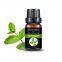 Natural Peppermint oil  Massage Essential Oil new Fresh mosquito repellent refreshing analgesic skin care