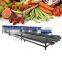 LONIKIA China Frozen Vegetable Production Line/Green Peas Quick Freezing Processing machine