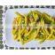 Garden Bean IQF Frozen Bright Golden Yellow Wax Bean Whole