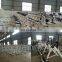 Hot MND-TXD180  Commercial abdominal machine Abdominal exercise fitness equipment indoor aerobic exercise