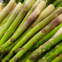 80pcs asparagus seeds vegetable garden asparagus sparrow grass Asparagus officinalis seeds for planting