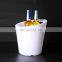 Wholesale 2022 Latest Genie Ice Bucket Saving Plastic Molds Ice Buckets Led Serving Tray Bottle Holder