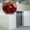 Planta de processamento de couro de frutas secas