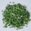 new crop hot selling freeze dried green onion