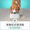 Pet Water Bowl Anti-Splash Drinking Fountain with Suspension Design Cat Dog tableware