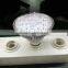 AC85-265V Led Par Light Par38 15w Led Spot Light