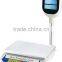 electronic scale