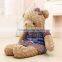 Teddy bear birthday gifts plush toy with T-shirt