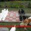 big chess game