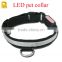 Most popular nylon LED dog collar with battery