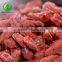 Organic Goji Berries