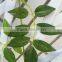 Home Decoration Wall Decoration Artificial Flowers Decorative Flowers