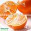 Fresh mandarin orange citrus fruit for Taiwan