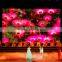 P10 Indoor Full Color led display Video rgb LED Panel module with 1/8 duty Current Driving Whole seller Factory Price