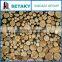 cellulose fiber