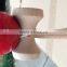 Beechwood Piano lacquer wooden kendama