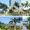 outdoor artificial palm tree tower