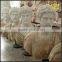 Indoor Home Furnishing European sculpture color marble bust decoration
