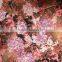 2016 Fashion Floral for Garments Heat Transfer Printing Paper
