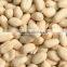 Blanched peanut kernels, peanuts in shell, roasted peanut inshell
