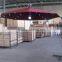 ZT-7007U new design solar&LED paraso