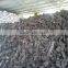 Khaya senegalensis (xaco) wood charcoal - best sell 2016 in UAE