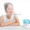High quality Nano-Ionic personal facial steamer for health care