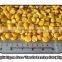 Toor Dal / Split Pigeon Peas / Arhar Dal / Cajanus cajan (Red Ruby)