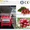 China Best Supplier Green coffee bean peeling machine