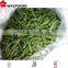 price for frozen green bean variety HEIHU 2015 crop