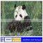 galvanized rabbit cage chicken fence hexagonal wire mesh/hexagonal wire mesh for chicken wire basket