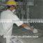 newly designed gypsum ceiling board machinery