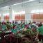 Greenhouse farm for sale 7090 evaporative cooler pad Malaysia