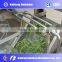 Efficient Energy Security Clean Turnover Washing Machine/ Vegetable Washing Machine