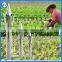 Wholesale manual transplanter for vegetable