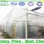 Commercial tunnel plastic strawberry greenhouse for sale