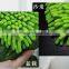 Small Order Stock Strong Absorb Shenil Double Side Home Cleaning Gloves