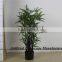 LXY160406 Cheap Bamboo Bonsai ,Bamboo Fencing