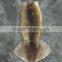 Zhengyuan Frozen Illex Squid Tube