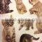 Vivid Animal Embossed Paper Sticker, Paper Sticker with Cat pattern for Decoration