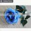High quality Valentine gift big tea rose buy direct from China factory