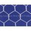 Hexagonal wire mesh