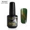 RONIKI Hot Flame Cat Eye Gel Polish,Cat Eye Gel,Cat Eye Gel Polish,Cat Eye Gel factory,Cat Eye Gel Polish