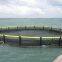 Cage Culture Fish Farming Corrosion Resistance Floating Net Cage