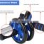 Ab Exercise Wheel Roller Group Jump Ropes Push Up Bar Set With Handle Knee Pads For Gym Abdominal Training