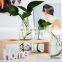 Home decoration Plant water bottle wood organizer