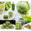 HIGH QUALITY 100% NATURAL GREEN TEA POWDER FROM VIET NAM