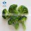 2020 BRC Certified IQF Bulk Frozen Broccoli with Competitive Price