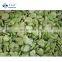 Sinocharm Bulk Green Frozen Broad Bean IQF Broad Fava Bean